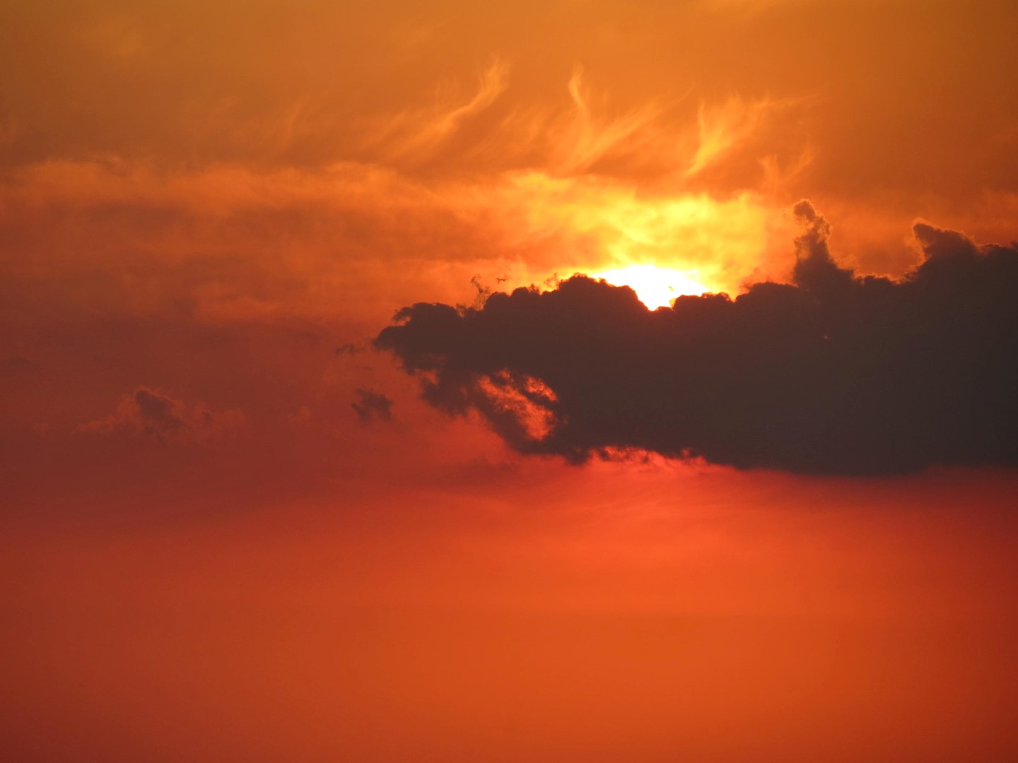 Wilson Tuscarora State Park NY the town 45 of 59 (#6863)