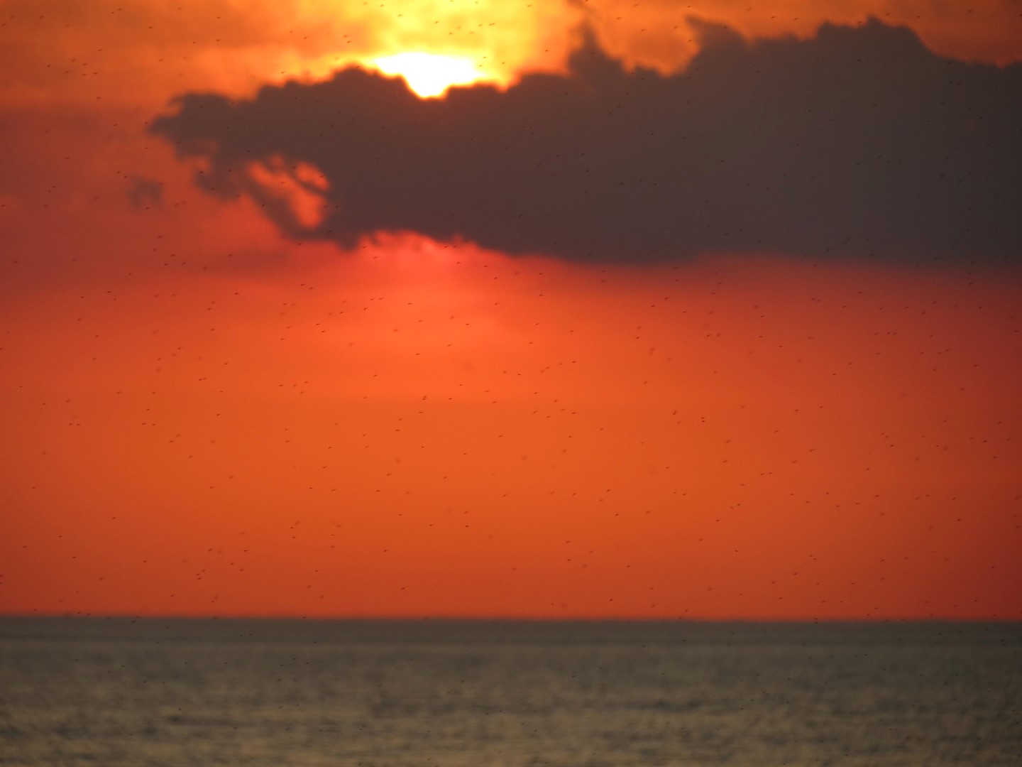 Wilson Tuscarora State Park NY the town 46 of 59 (#6864)