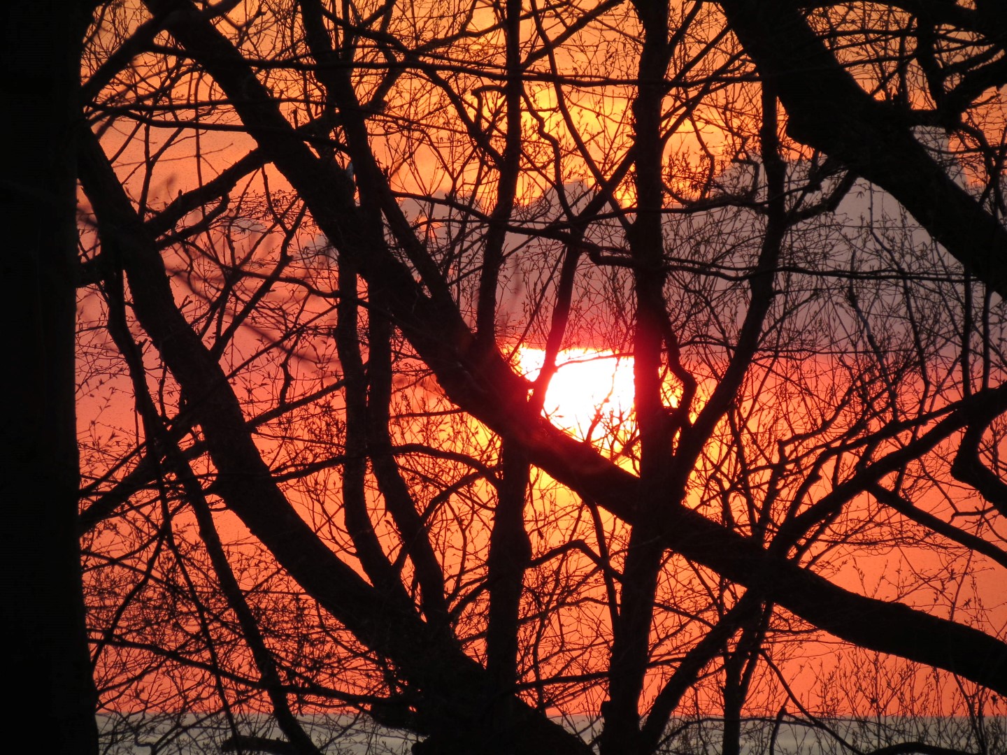 Wilson Tuscarora State Park NY the town 49 of 59 (#6867)