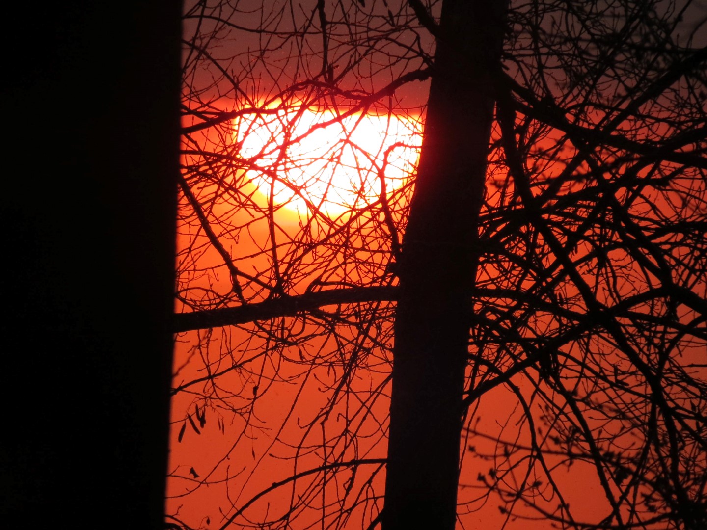 Wilson Tuscarora State Park NY the town 52 of 59 (#6870)