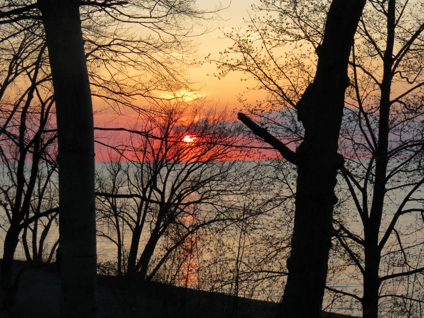 Wilson Tuscarora State Park NY the town 54 of 59 (#6872)