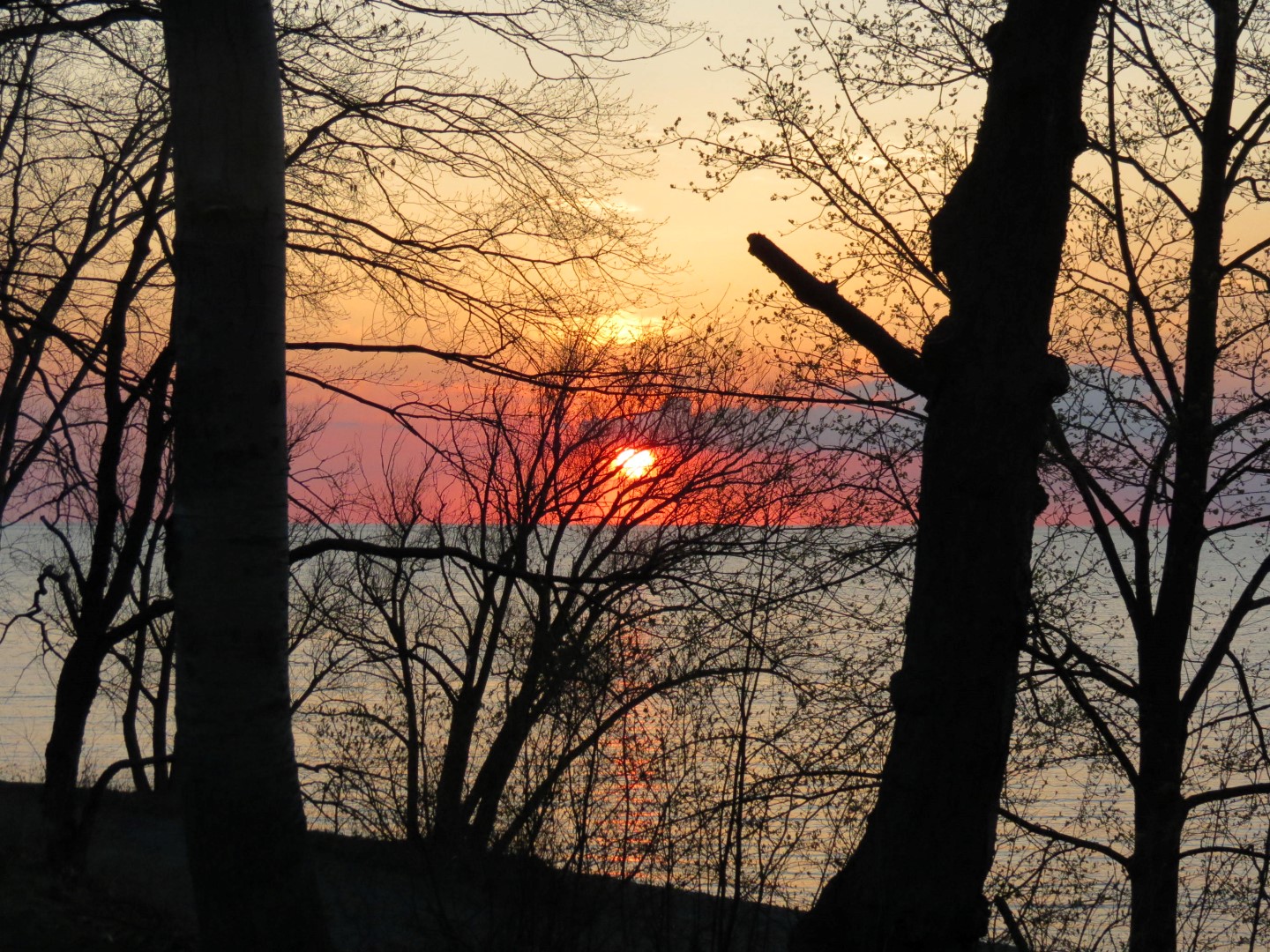 Wilson Tuscarora State Park NY the town 55 of 59 (#6873)