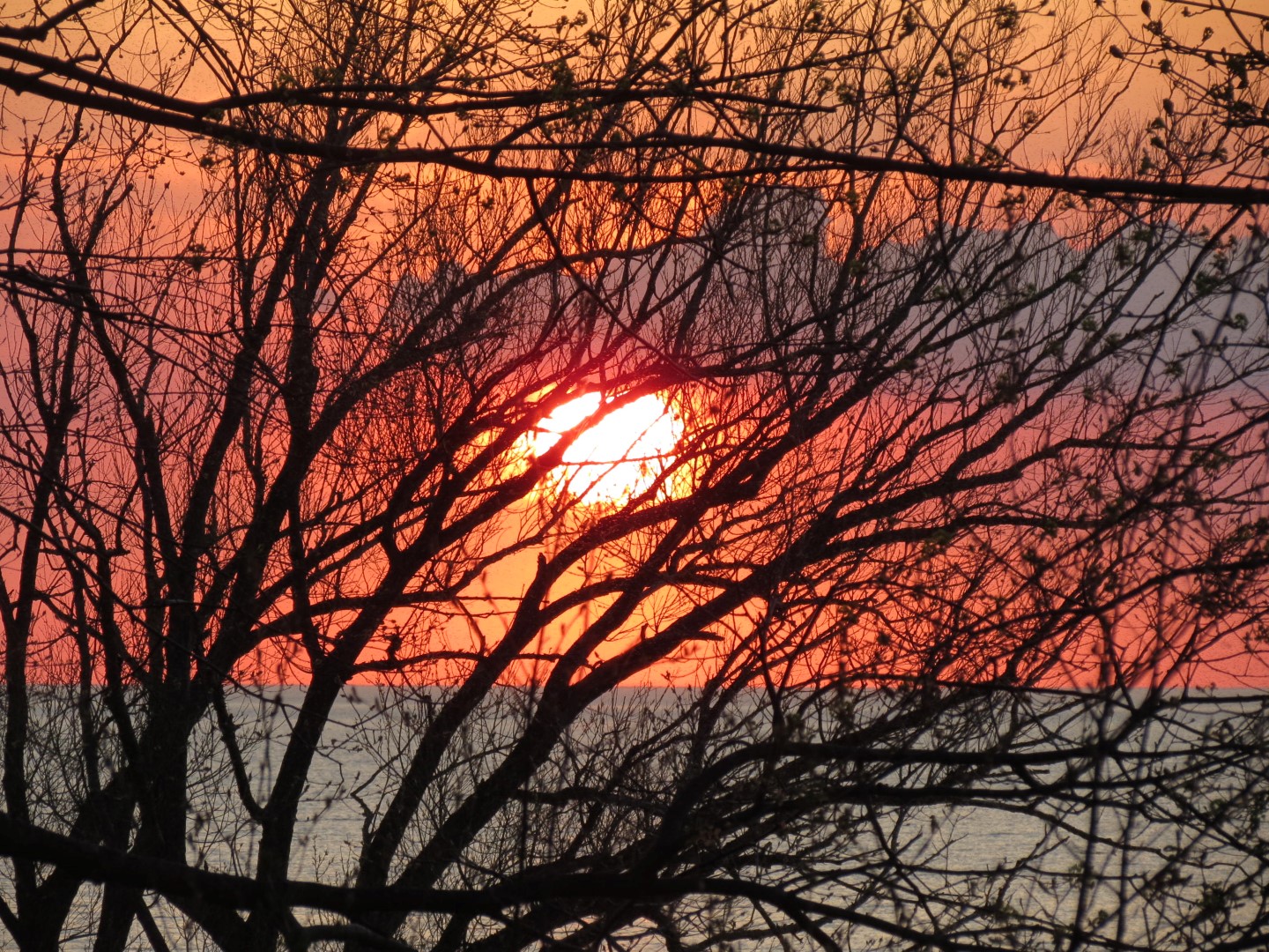 Wilson Tuscarora State Park NY the town 56 of 59 (#6874)