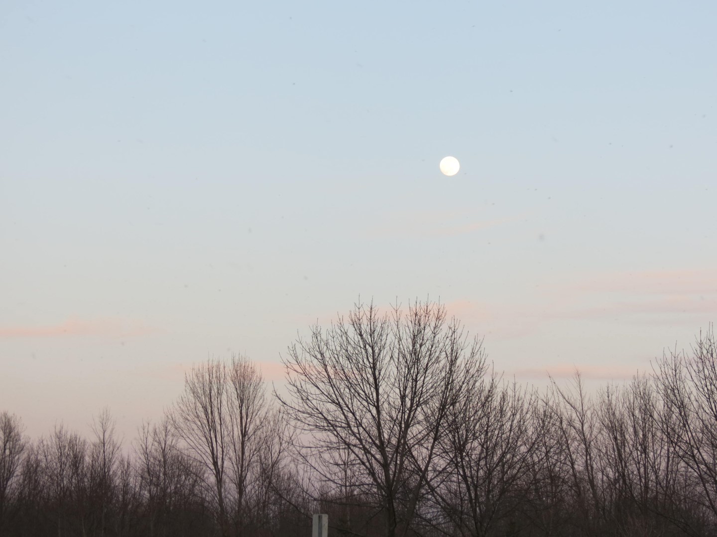 Wilson Tuscarora State Park NY the town 57 of 59 (#6875)