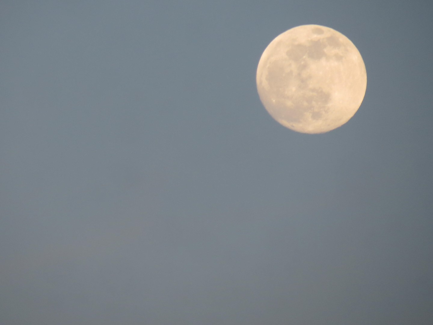 Wilson Tuscarora State Park NY the town 58 of 59 (#6876)