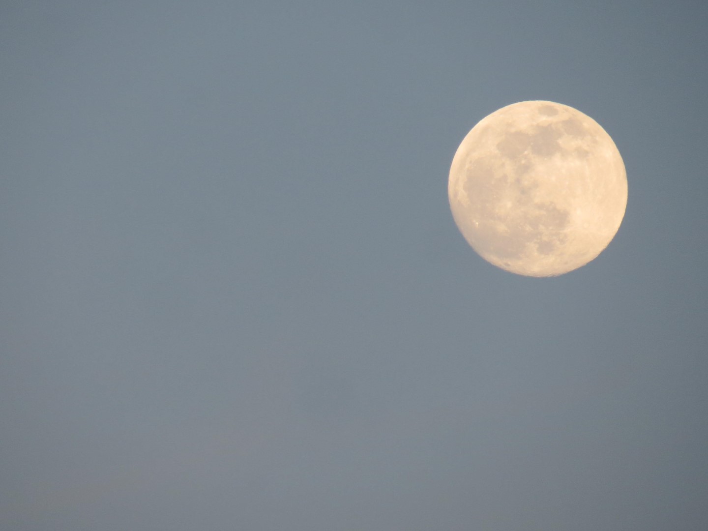 Wilson Tuscarora State Park NY the town 59 of 59 (#6877)