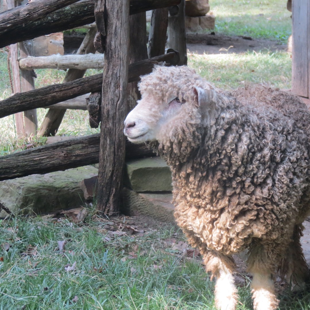 Farm at the Lincoln Farm National Park in Lincoln City IN  5 of 15 (#7900)