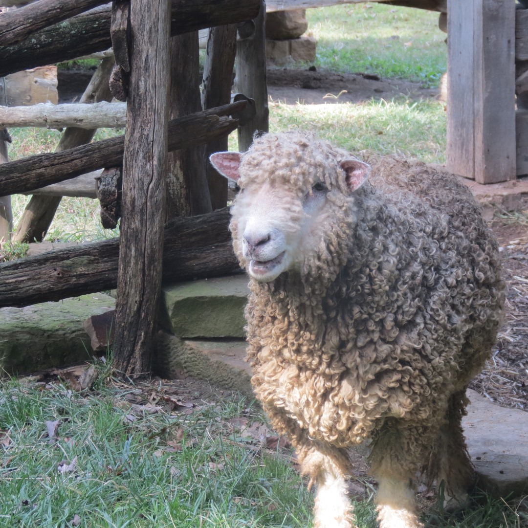 Farm at the Lincoln Farm National Park in Lincoln City IN  6 of 15 (#7901)