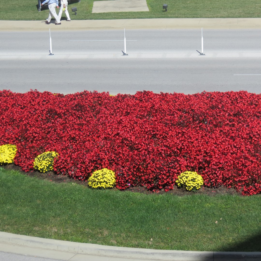French Lick Resort and Casino in French Lick IN  6 of 14 (#7920)