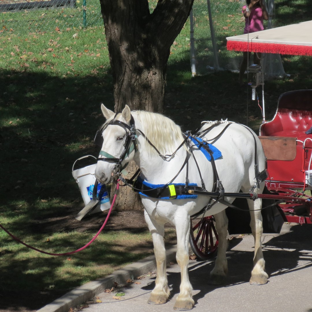 French Lick Resort and Casino in French Lick IN  9 of 14 (#7923)