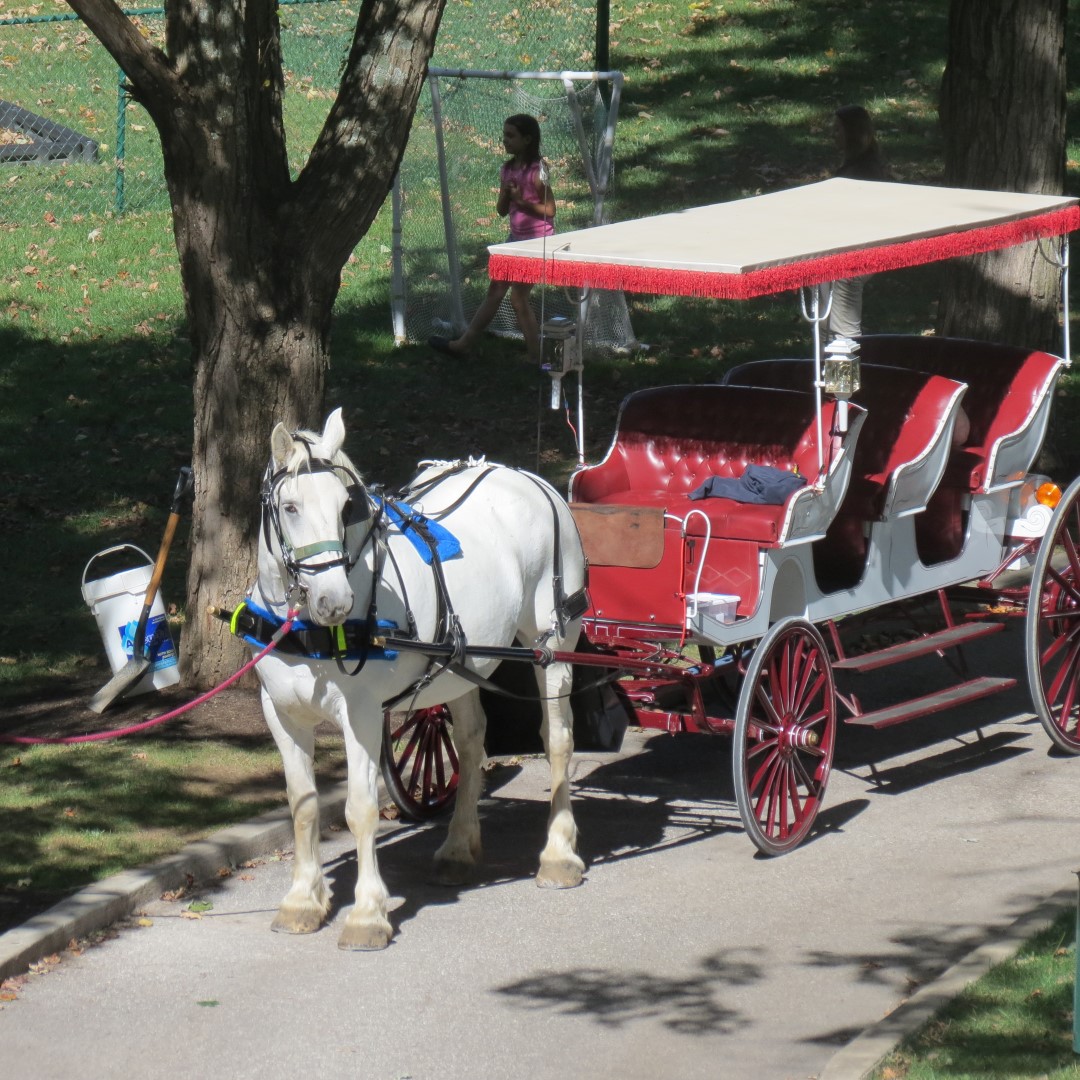 French Lick Resort and Casino in French Lick IN 10 of 14 (#7924)
