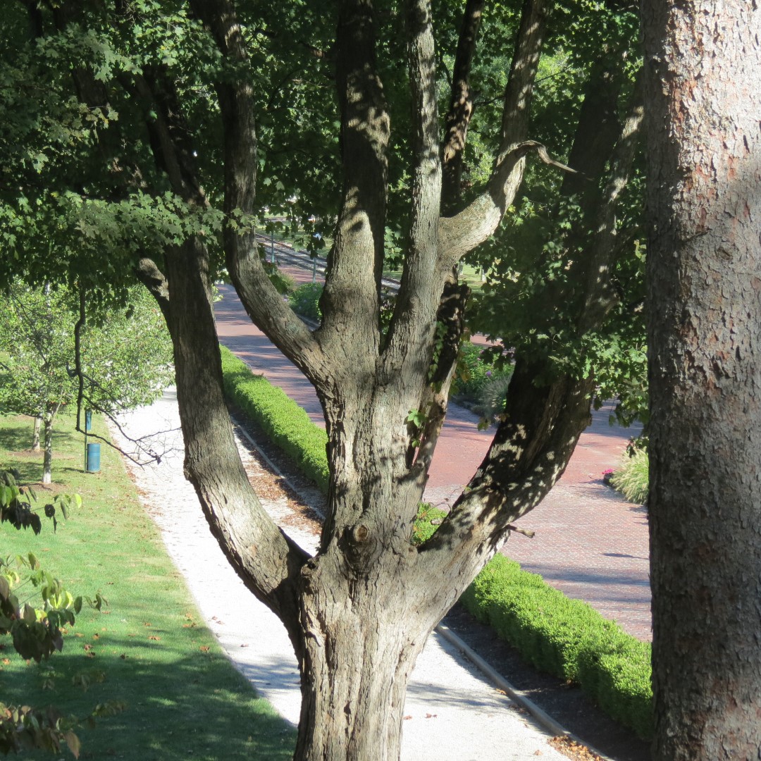 West Braden Resort in West Braden IN - Garden and Grounds  1 of 37 (#7943)