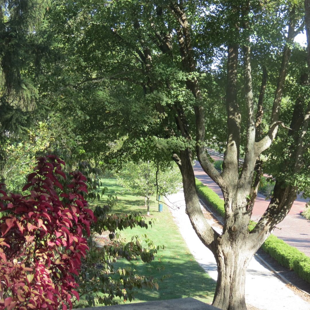 West Braden Resort in West Braden IN - Garden and Grounds  2 of 37 (#7944)