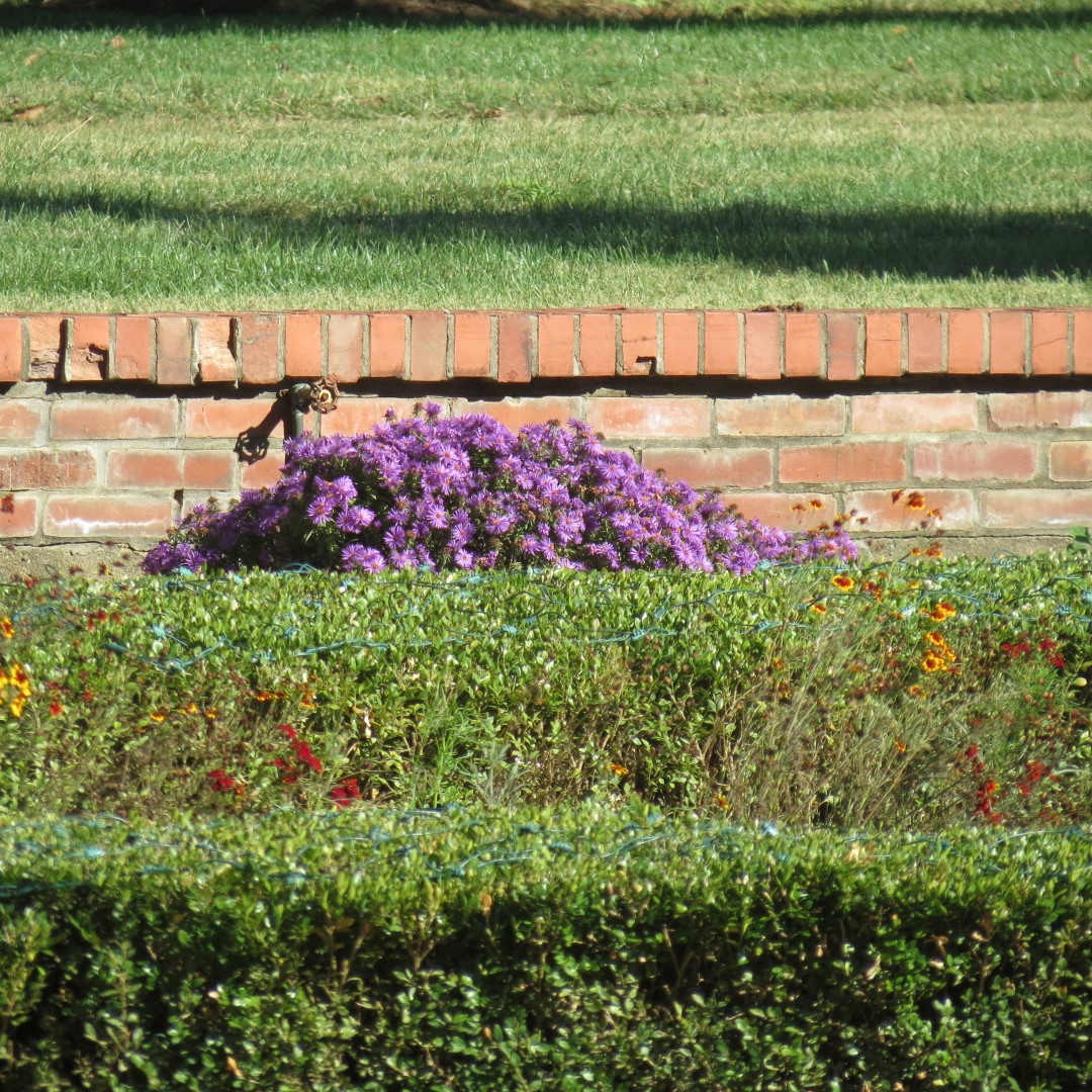 West Braden Resort in West Braden IN - Garden and Grounds 12 of 37 (#7952)