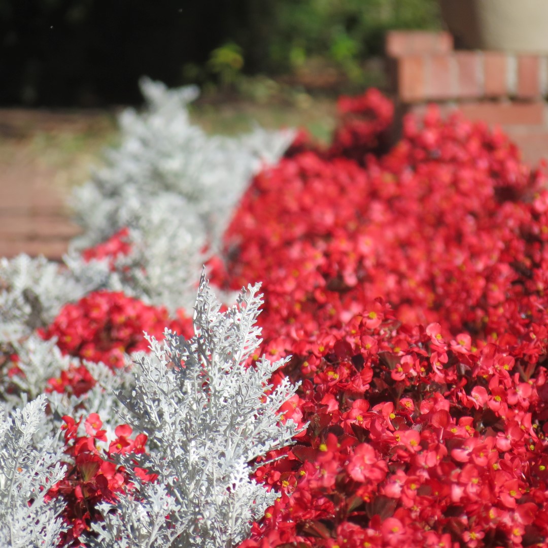 West Braden Resort in West Braden IN - Garden and Grounds 13 of 37 (#7953)