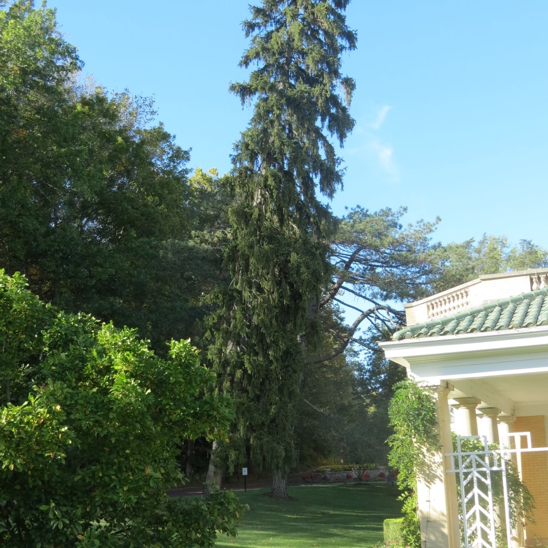 West Braden Resort in West Braden IN - Garden and Grounds 24 of 37 (#7964)