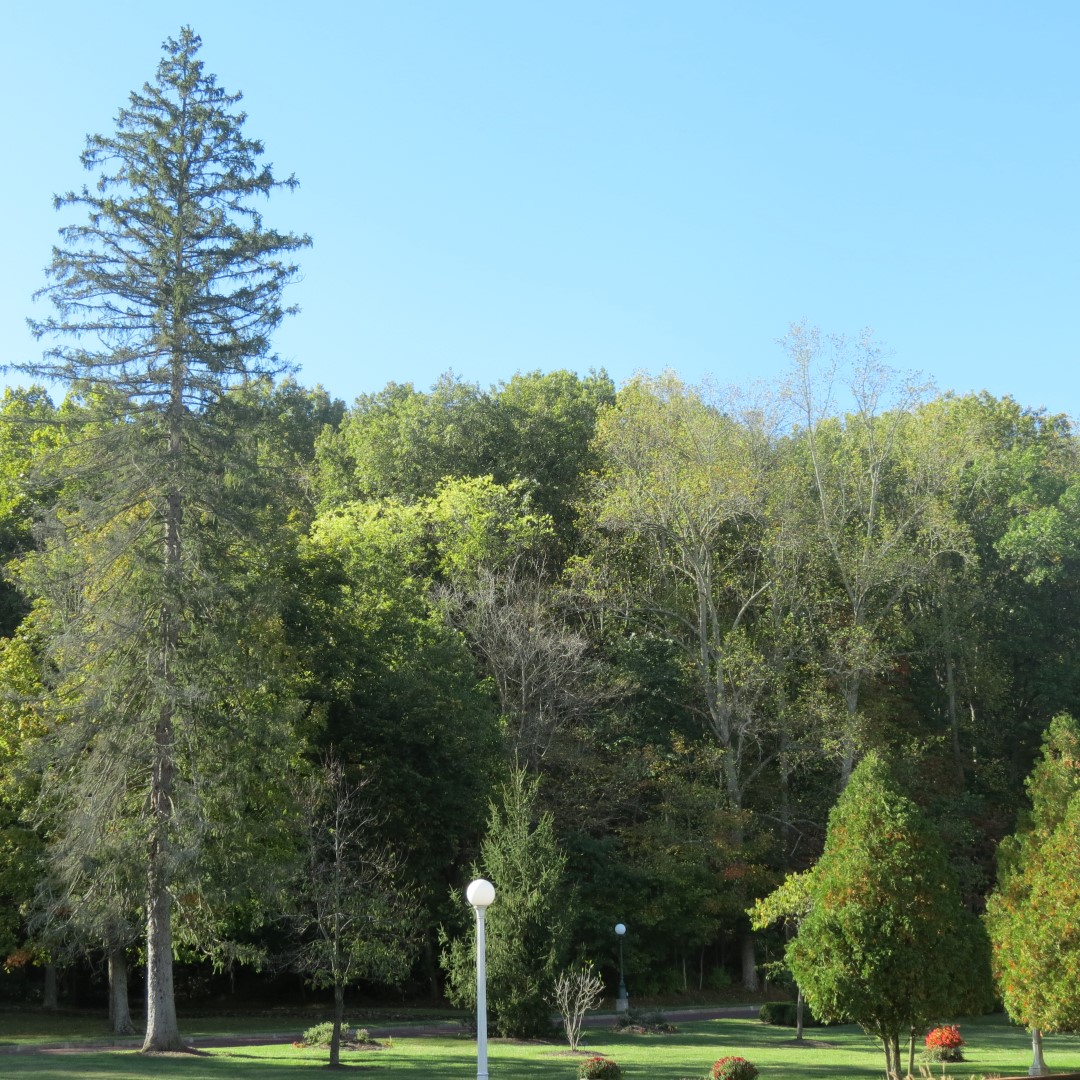 West Braden Resort in West Braden IN - Garden and Grounds 25 of 37 (#7972)