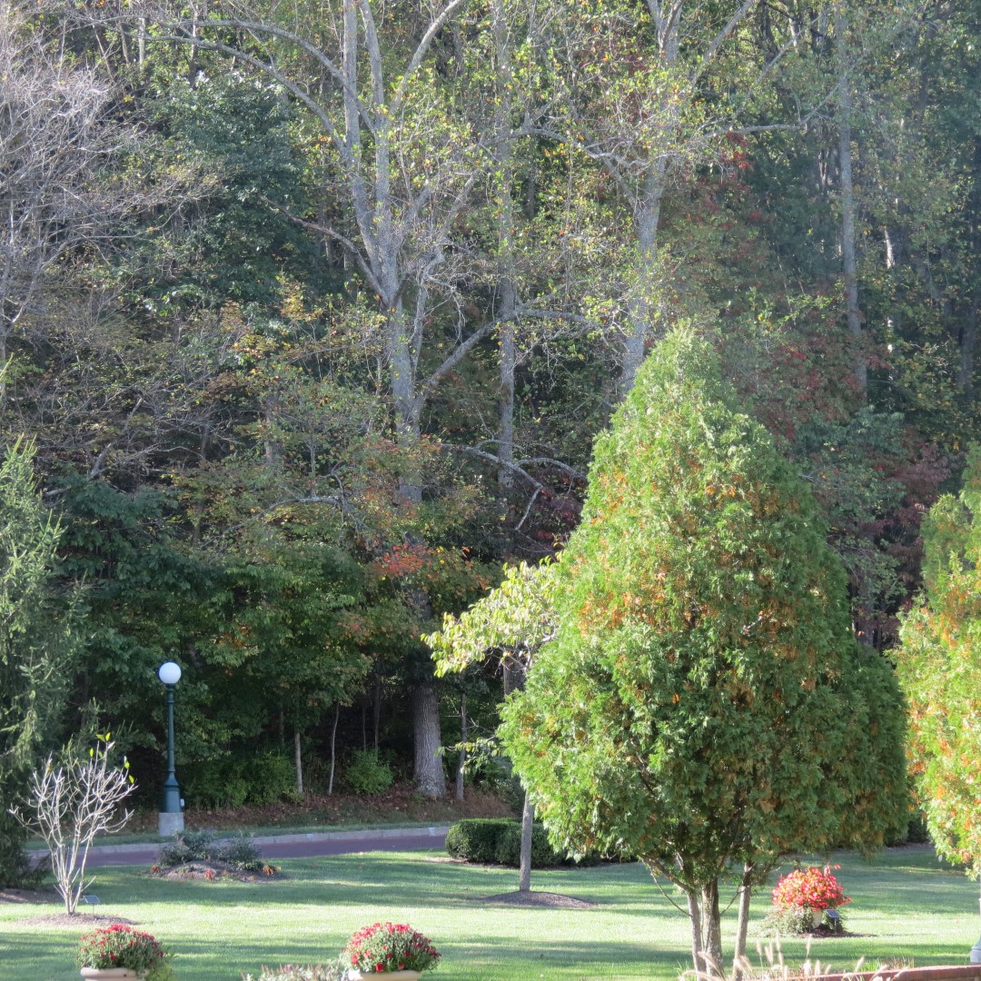 West Braden Resort in West Braden IN - Garden and Grounds 27 of 37 (#7974)