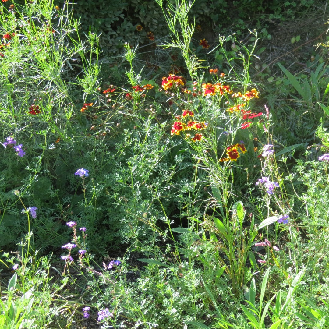 West Braden Resort in West Braden IN - Garden and Grounds 30 of 37 (#7979)