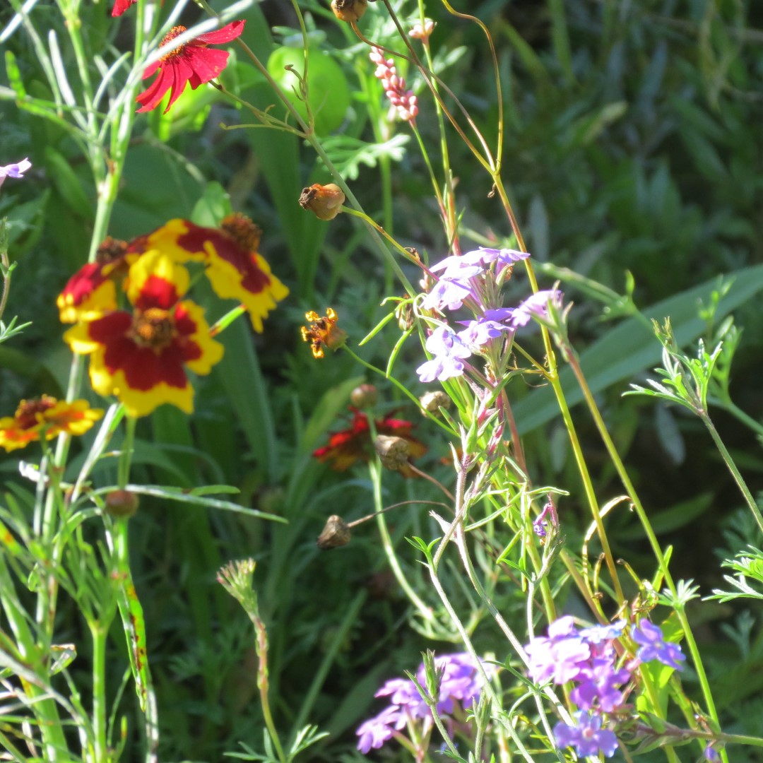 West Braden Resort in West Braden IN - Garden and Grounds 31 of 37 (#7980)