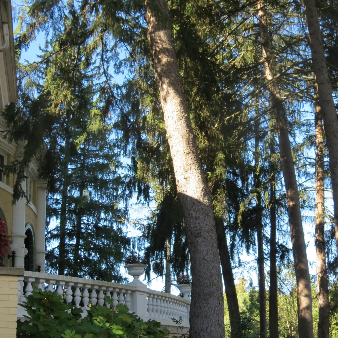 West Braden Resort in West Braden IN - Garden and Grounds 34 of 37 (#7985)