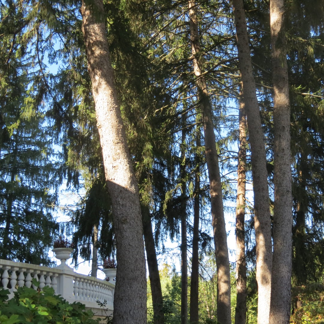 West Braden Resort in West Braden IN - Garden and Grounds 35 of 37 (#7986)