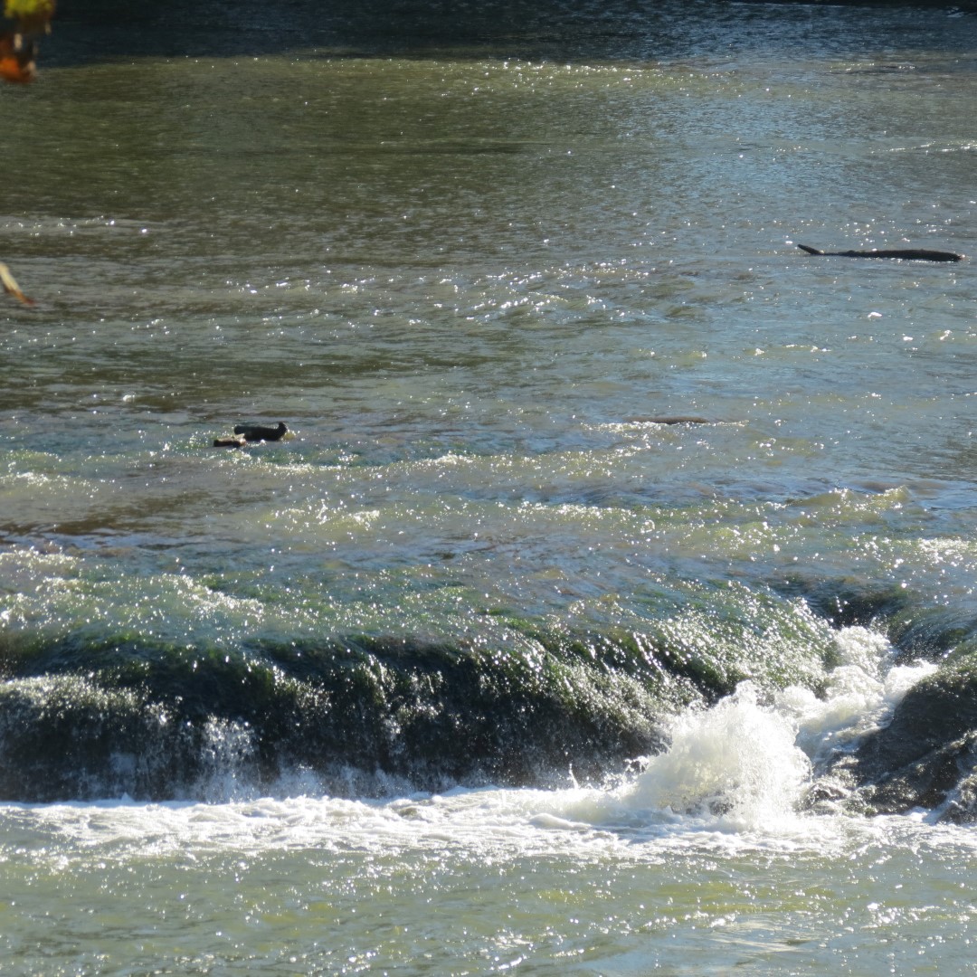 Hindostan Falls near Loogootee IN  2 of 18 (#7991)