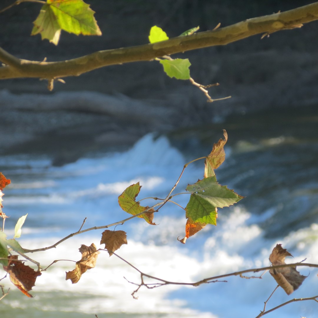 Hindostan Falls near Loogootee IN  3 of 18 (#7992)