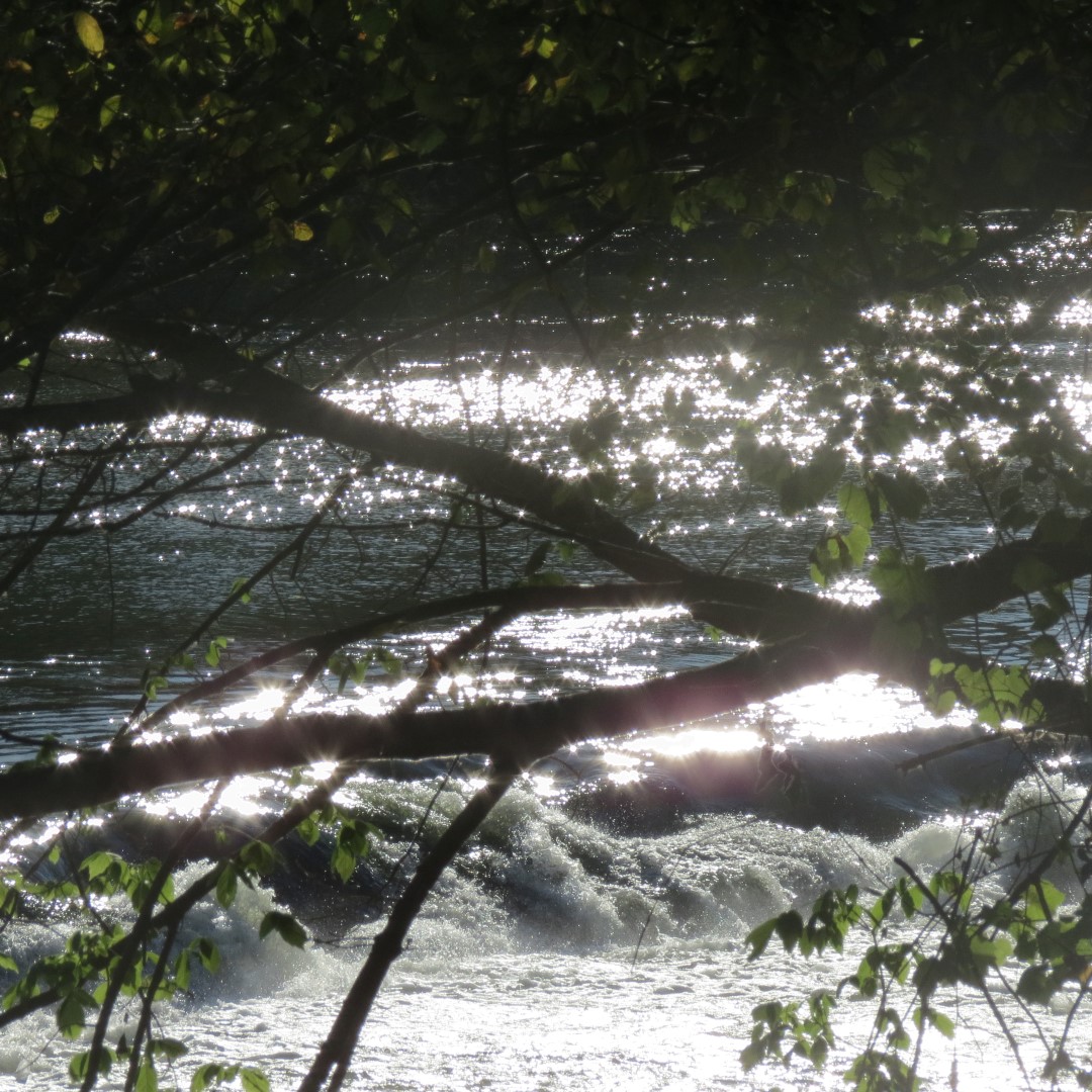 Hindostan Falls near Loogootee IN  4 of 18 (#7993)