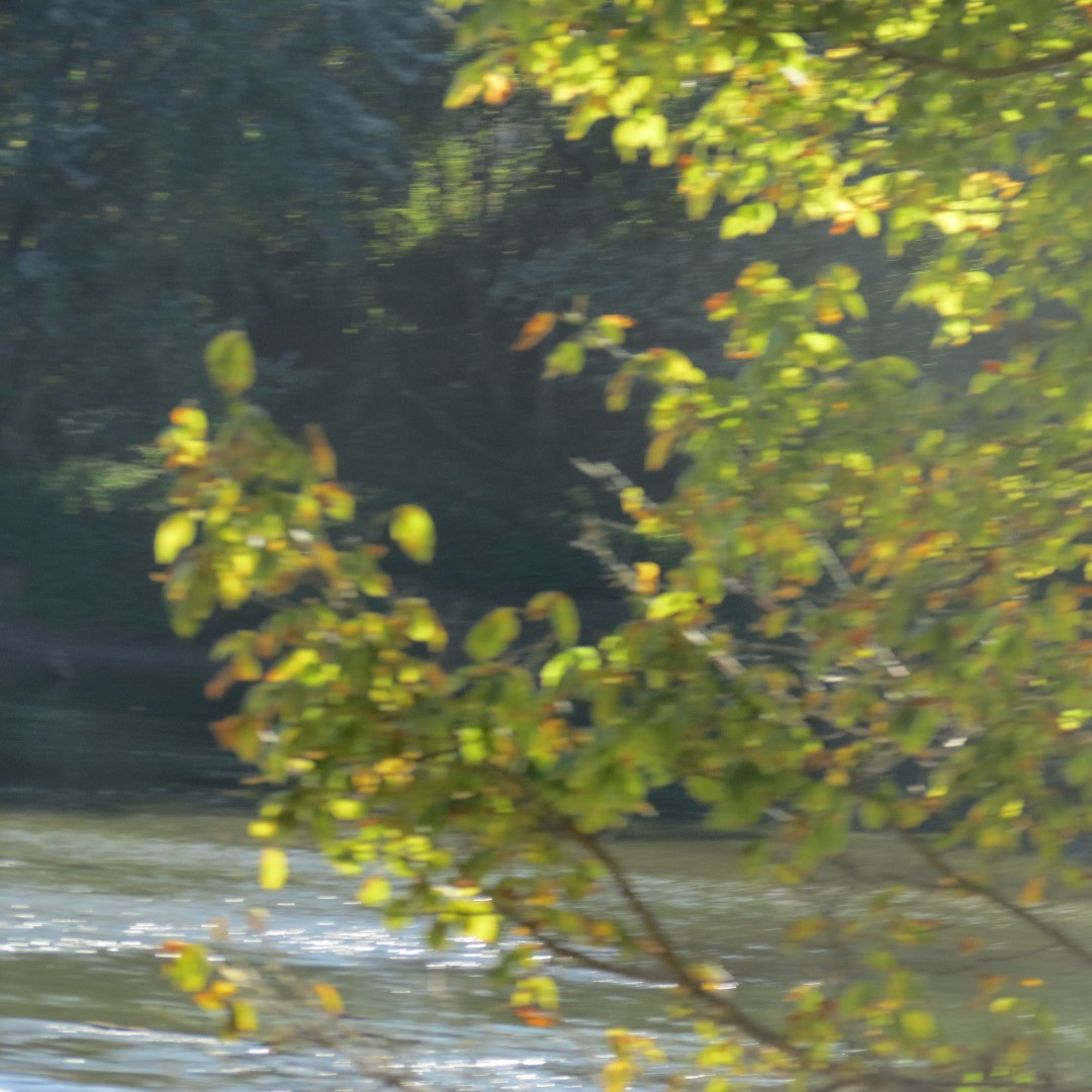 Hindostan Falls near Loogootee IN  5 of 18 (#7994)