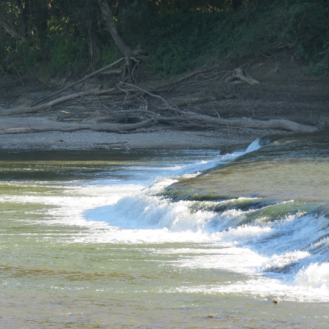 Hindostan Falls near Loogootee IN  6 of 18 (#7995)