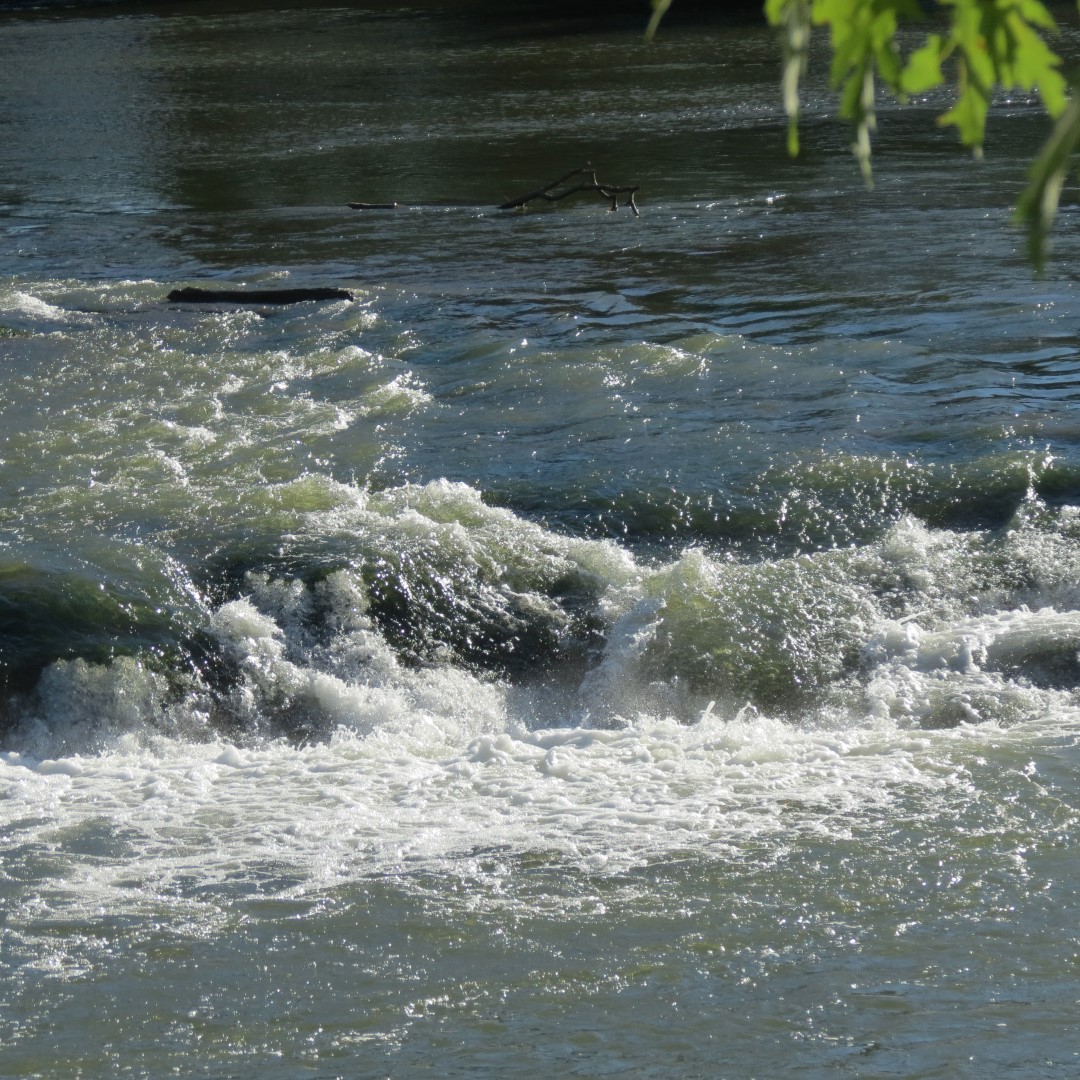 Hindostan Falls near Loogootee IN  9 of 18 (#7998)