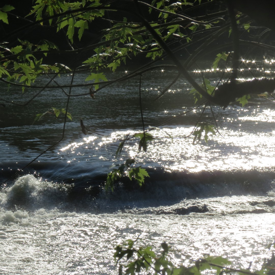 Hindostan Falls near Loogootee IN 10 of 18 (#7999)