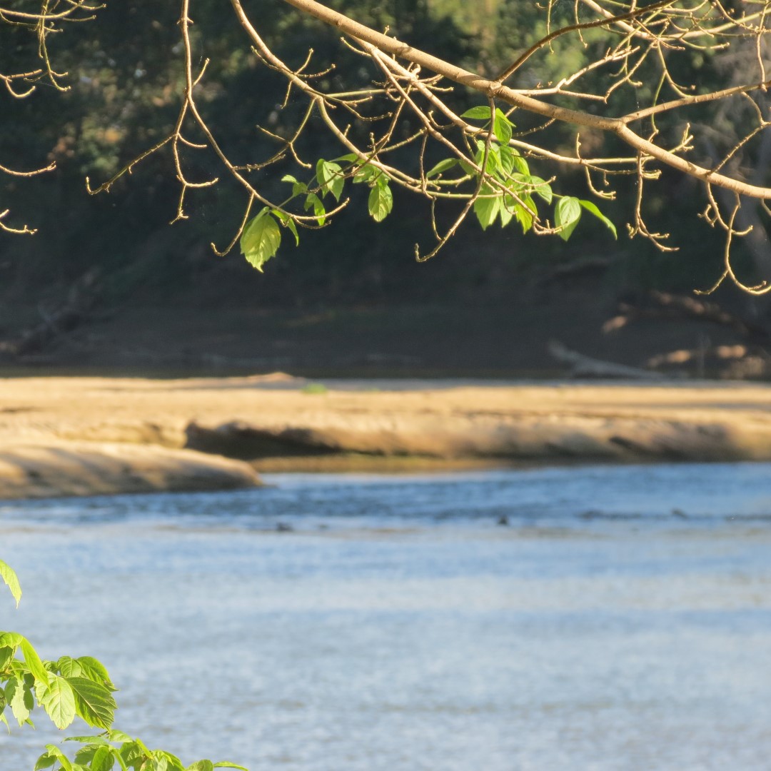 Hindostan Falls near Loogootee IN 11 of 18 (#8000)