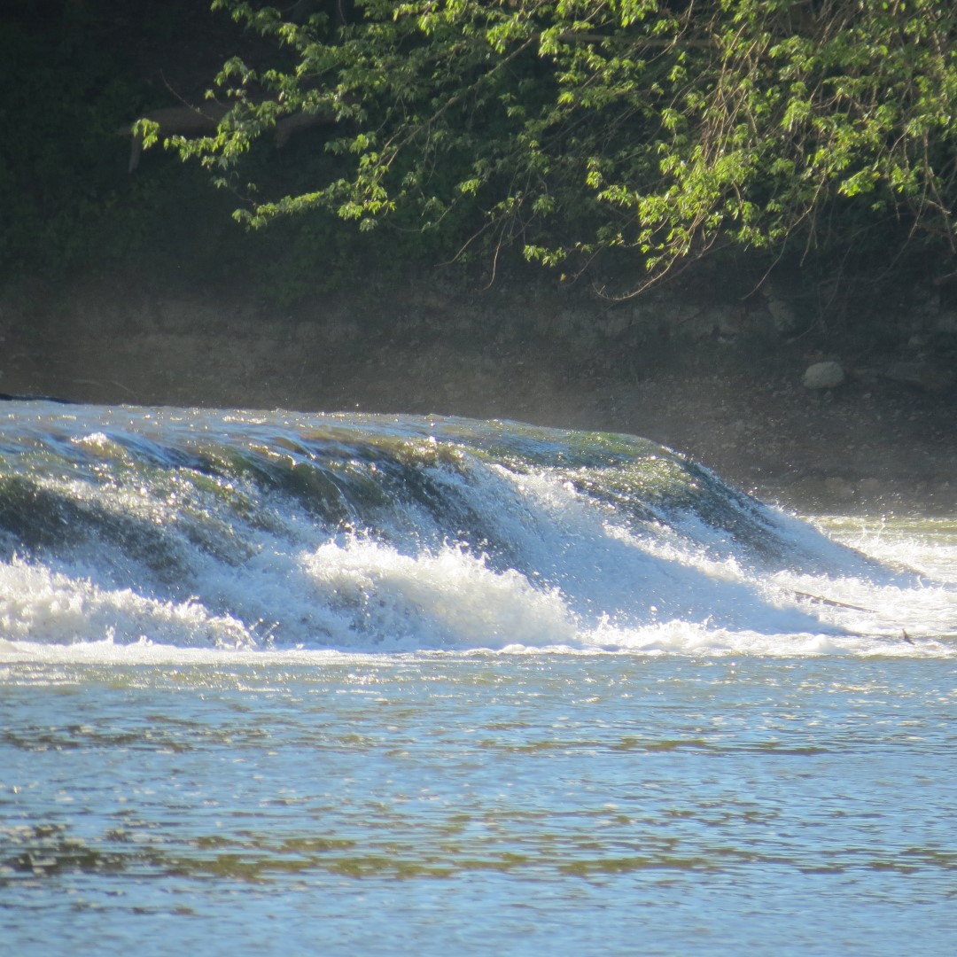 Hindostan Falls near Loogootee IN 14 of 18 (#8003)