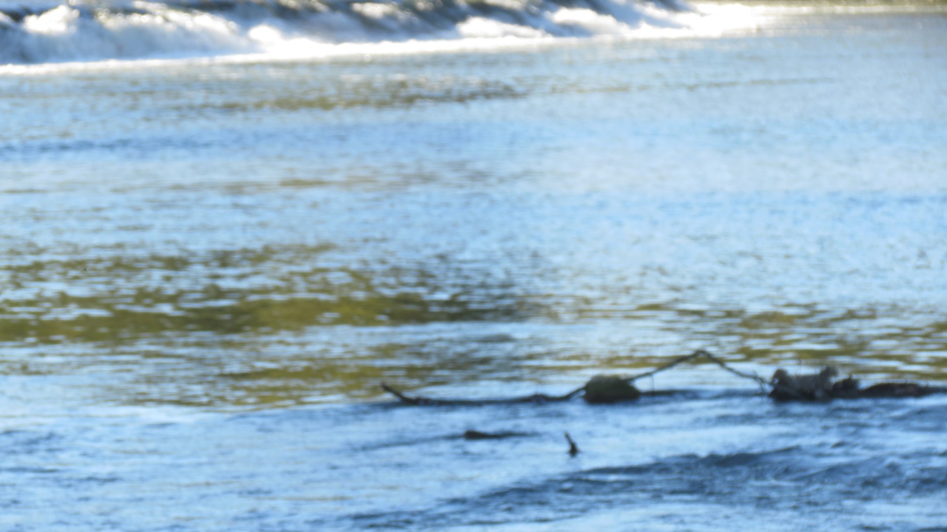 Hindostan Falls near Loogootee IN 17 of 18 (#8007)