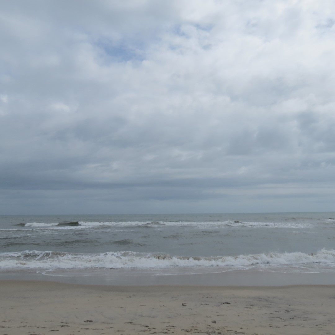 Assateague National Seashore near Chincoteague VA  3 of  8 (#0022)