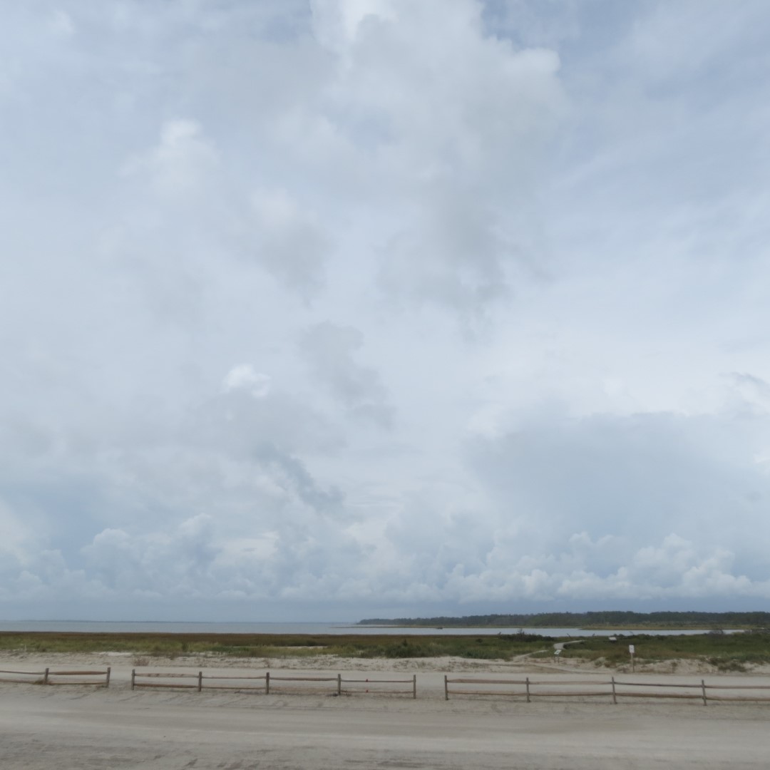 Marsh of Assateague National Seashore in Chincoteague VA  1 of  3 (#0026)