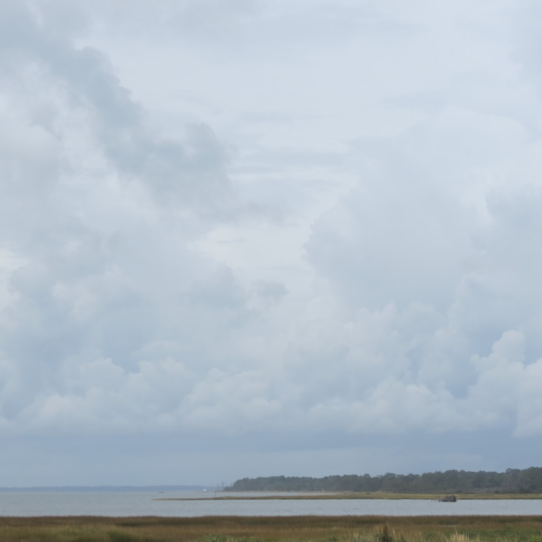 Marsh of Assateague National Seashore in Chincoteague VA  3 of  3 (#0028)