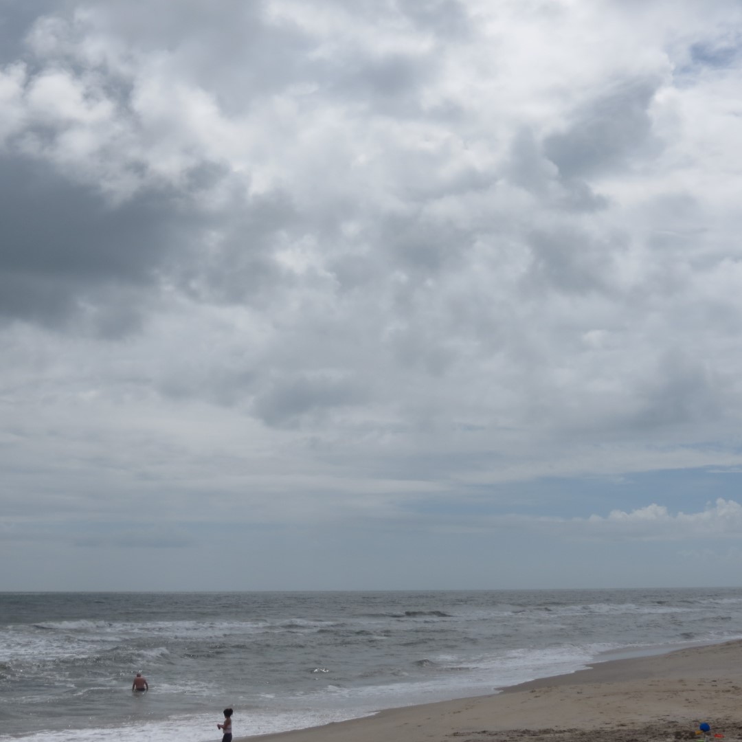 Assateague National Seashore near Chincoteague VA  4 of  8 (#0029)