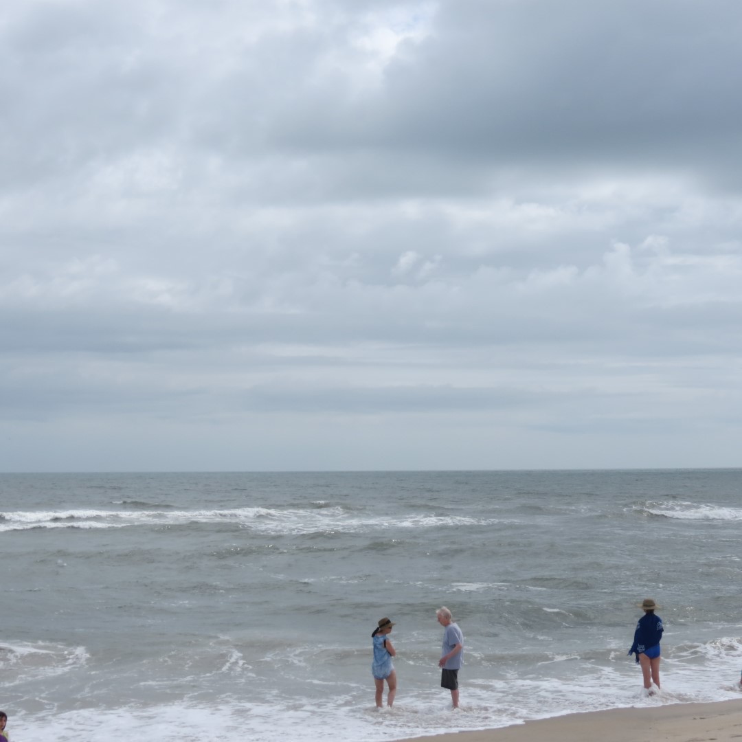 Assateague National Seashore near Chincoteague VA  5 of  8 (#0030)