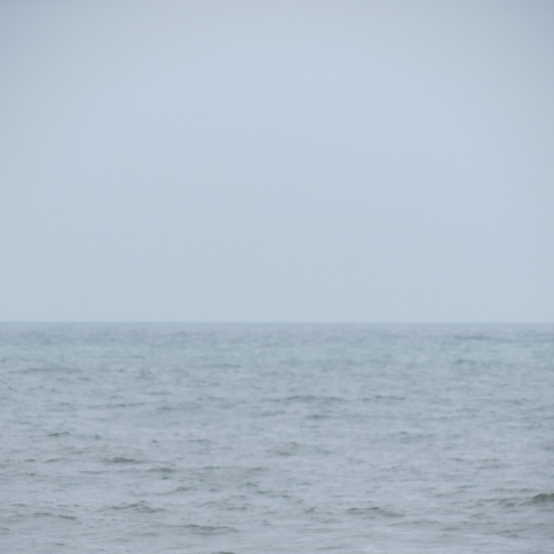 Assateague National Seashore near Chincoteague VA  7 of  8 (#0032)