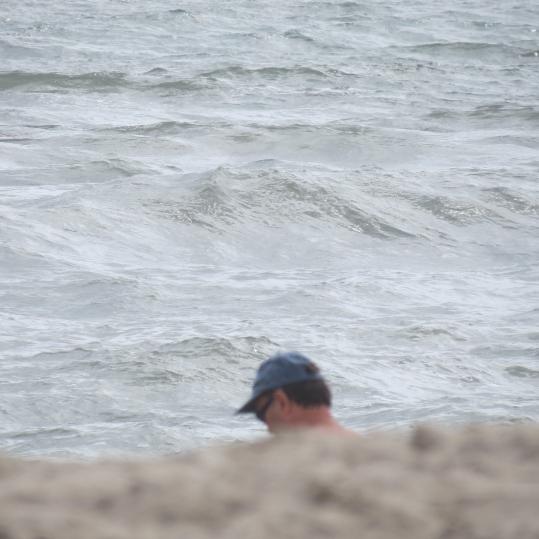 Assateague National Seashore near Chincoteague VA  8 of  8 (#0037)