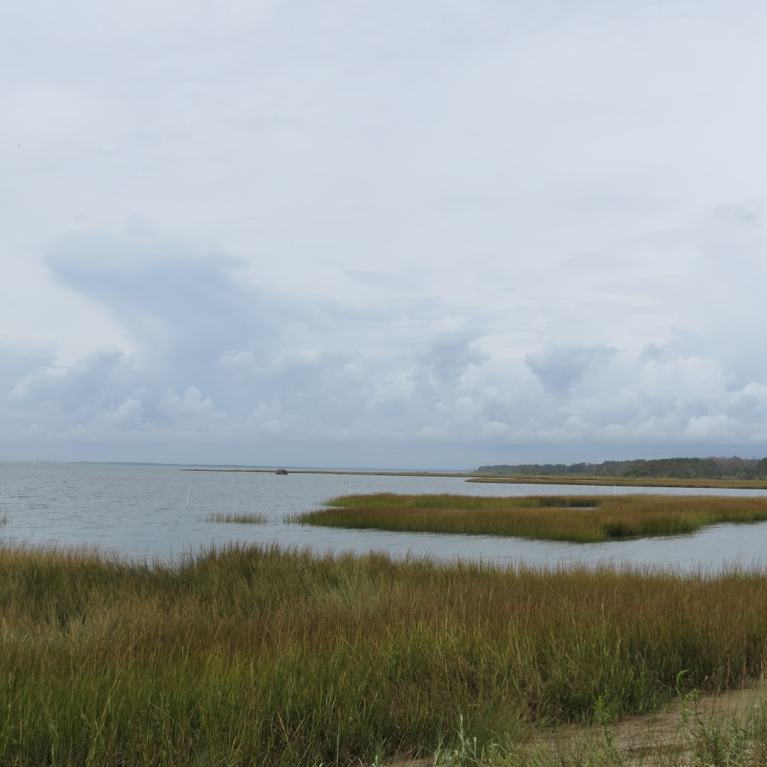 Toms Cove adjacent to Assateague National Seashore in Chincoteague VA  2 of  7 (#0043)