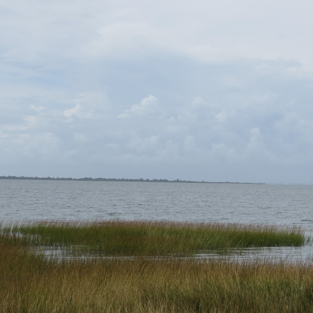 Toms Cove adjacent to Assateague National Seashore in Chincoteague VA  3 of  7 (#0044)