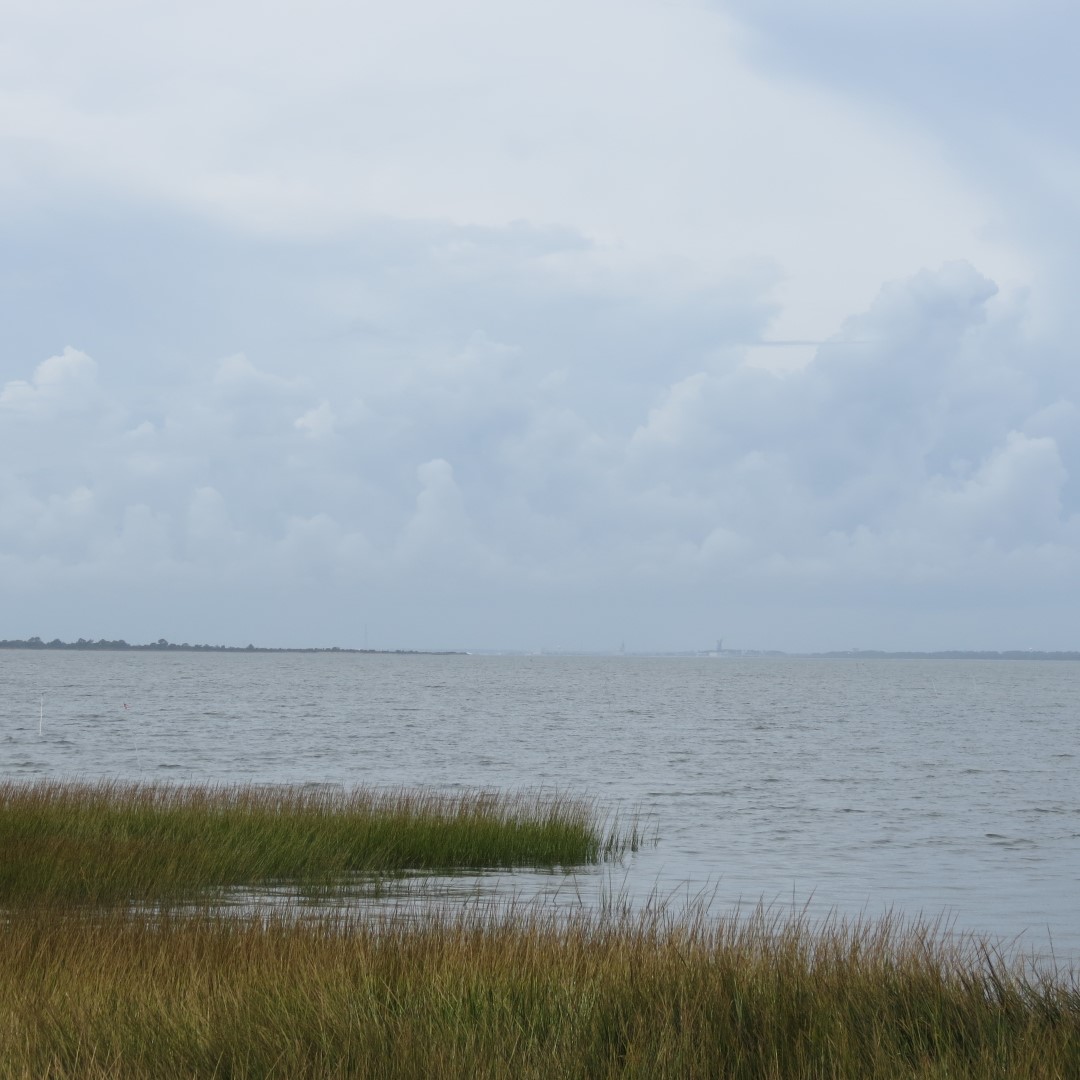 Toms Cove adjacent to Assateague National Seashore in Chincoteague VA  4 of  7 (#0045)