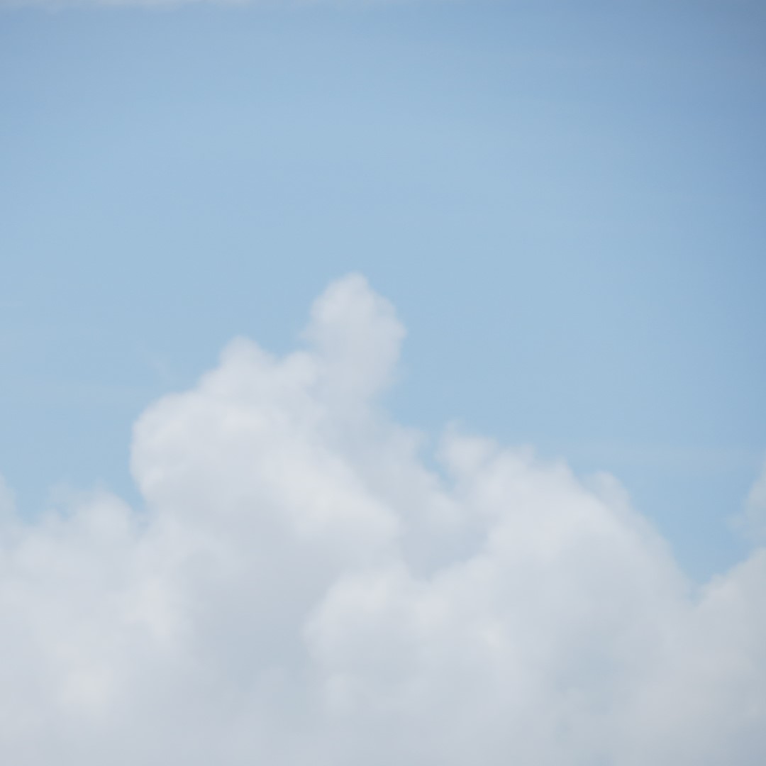 Toms Cove adjacent to Assateague National Seashore in Chincoteague VA  6 of  7 (#0047)