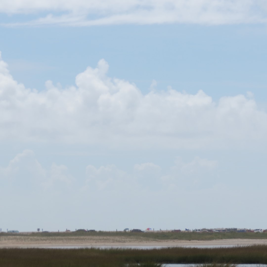 Toms Cove adjacent to Assateague National Seashore in Chincoteague VA  7 of  7 (#0048)