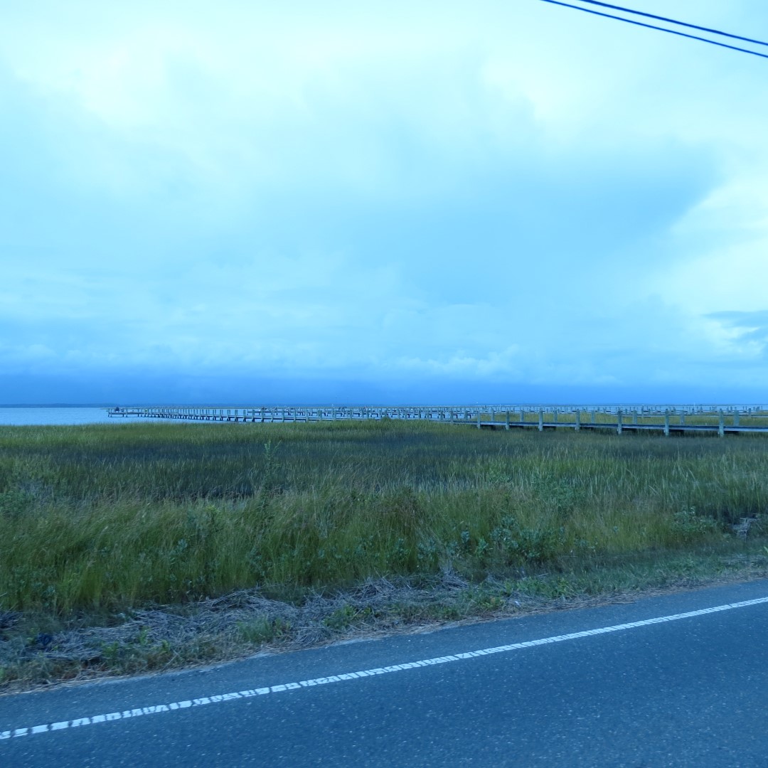 Sites around Chincoteague VA  1 of  4 (#0051)