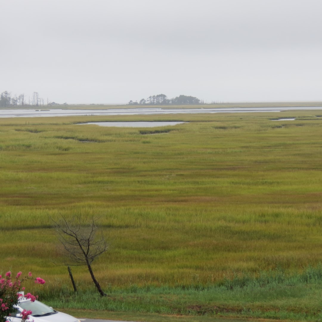 Chincoteague VA Hotel Views (a national park)  4 of  7 (#0061)